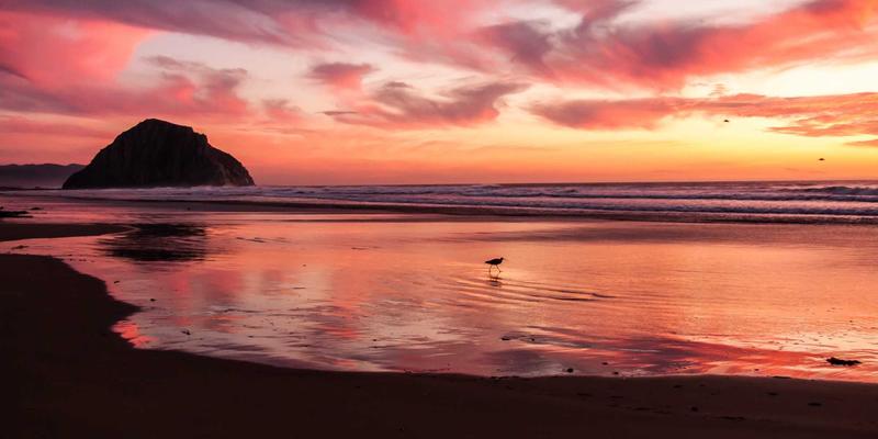 2024职场突围指南：十大高含金量在线认证，助你技能跃迁