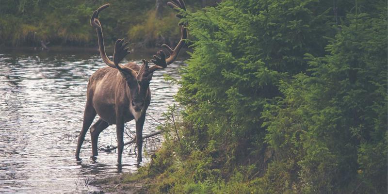 在线教育平台如何选择?家长必看的五大评估标准,让‘爱提问修’成为学习利器